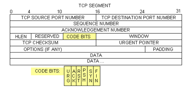 TCP segment